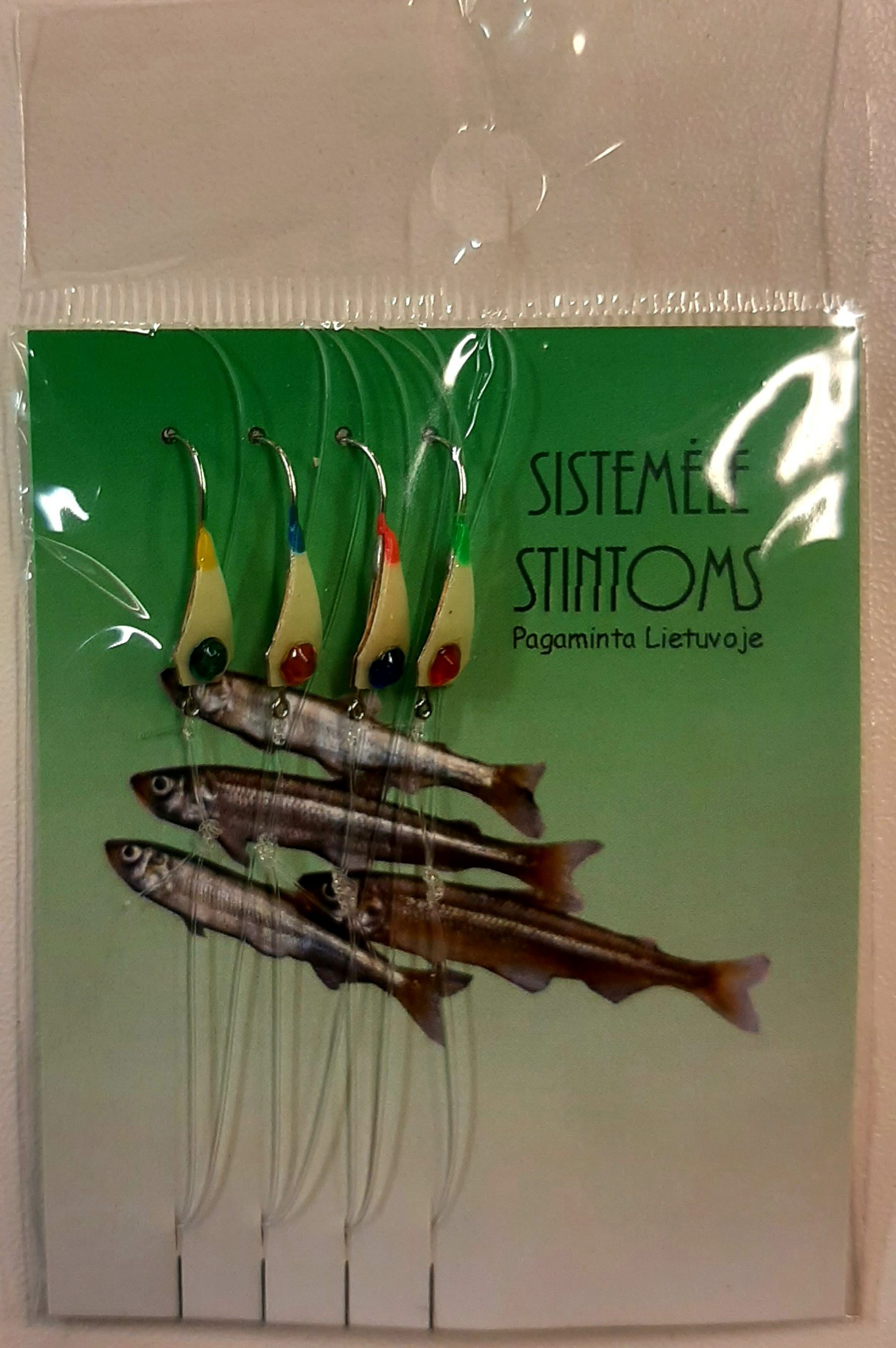 Sistemėlė stintoms 09