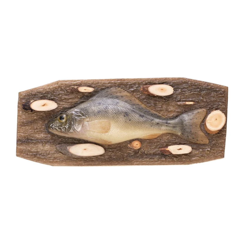 Suvenyrinė žuvis Ruffe N-E