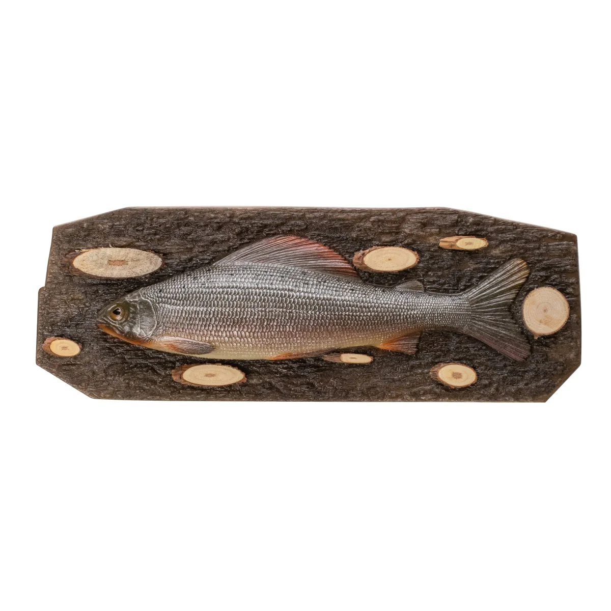 Suvenyrinė žuvis Grayling N-H