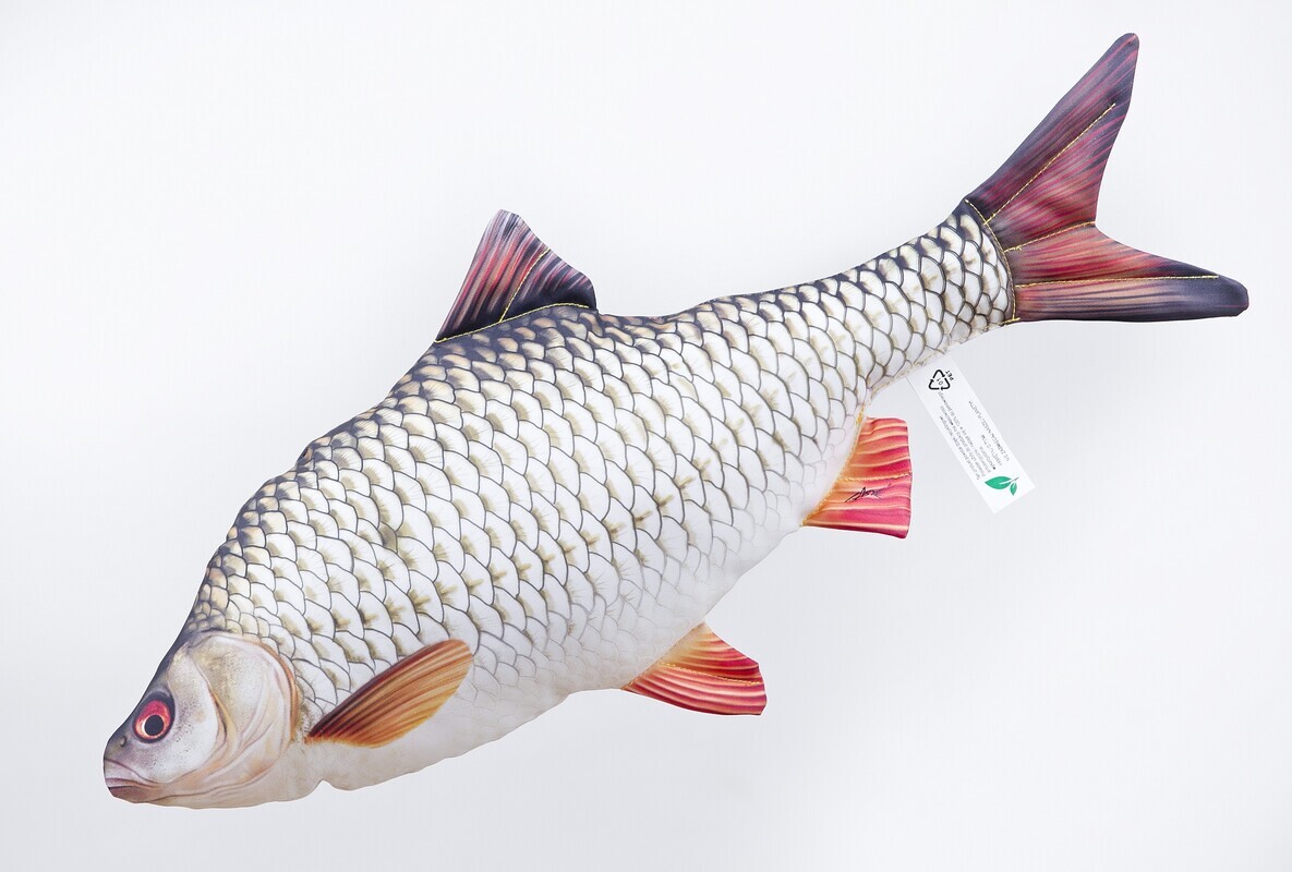 Pliušinė žuvis The Mini Roach 35cm